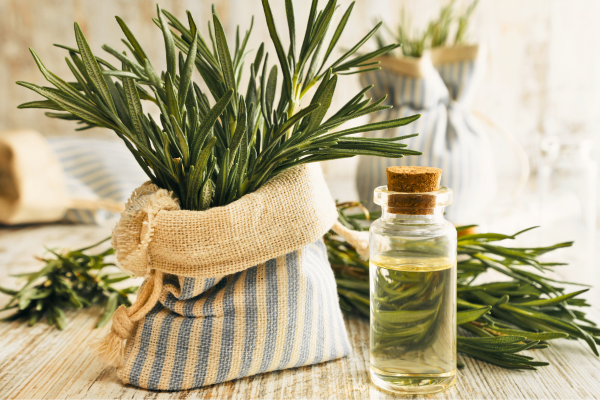 Eget rosmarinvatten för hårtillväxt - Enkel guide med bilder